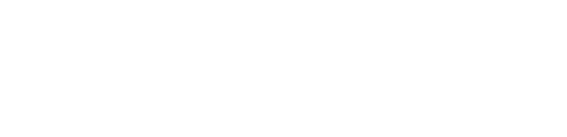 Carnival Cruise Line Logo