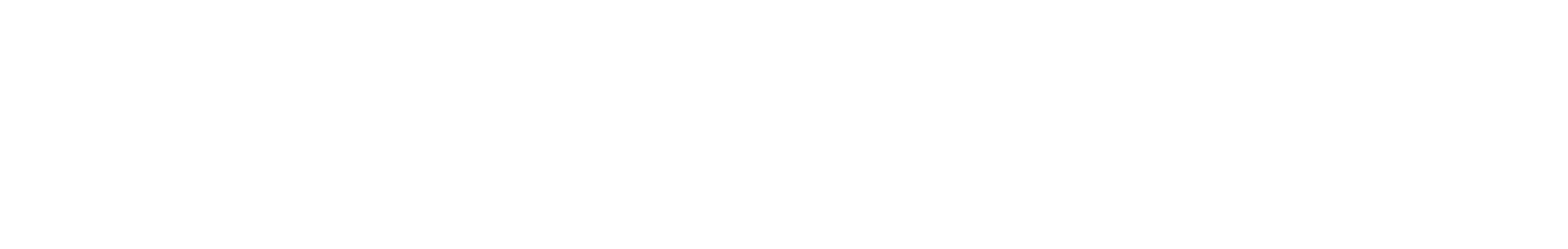 Norwegian Cruise Line Logo