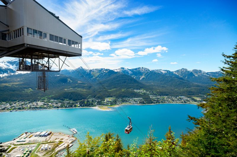 Alaska: A Haven for Majestic Wildlife