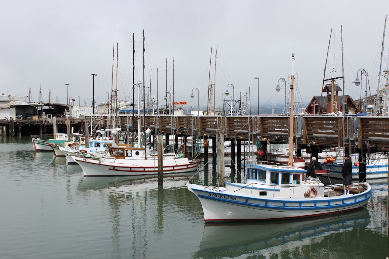 fisherman