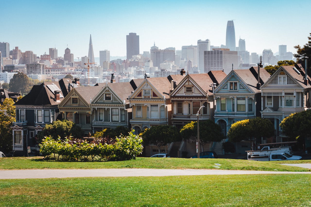 Painted Ladies