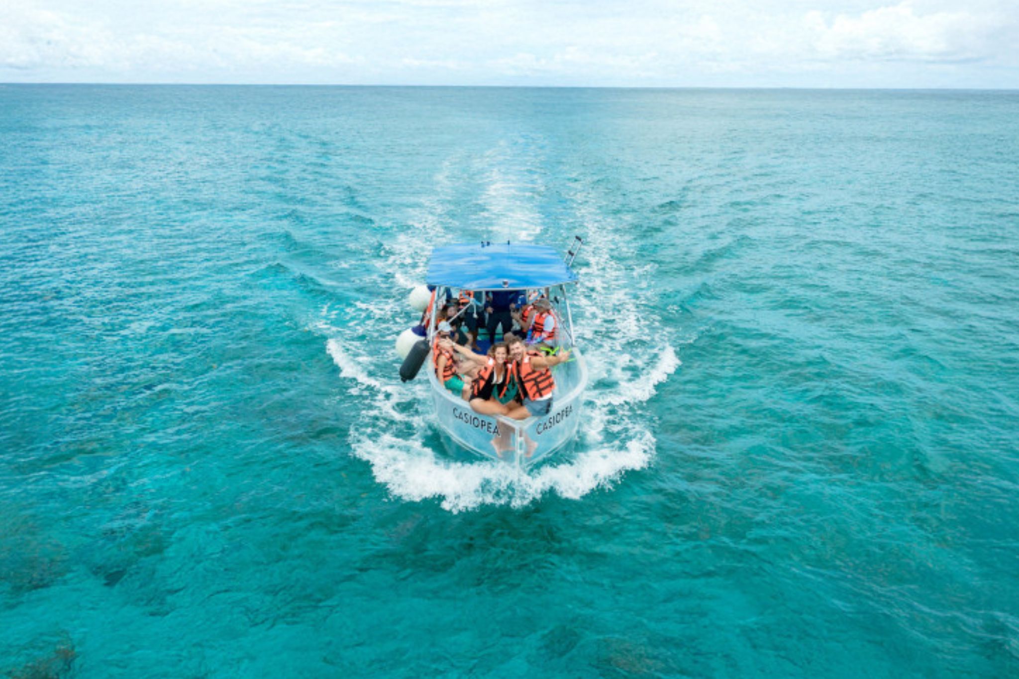 Future Cruise Credits (FCCs) - The Fine Print