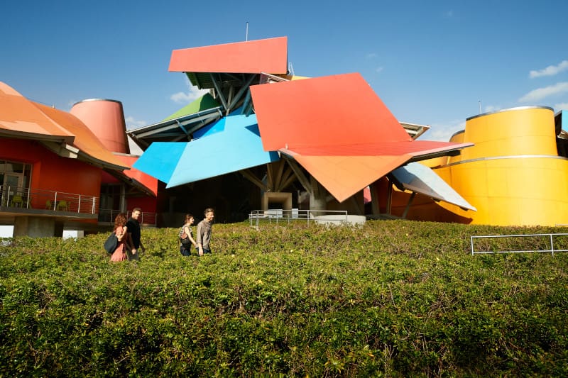 Caribbean Museum Cruises