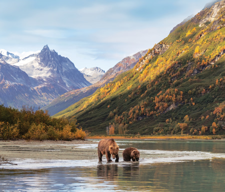 Alaska Cruises