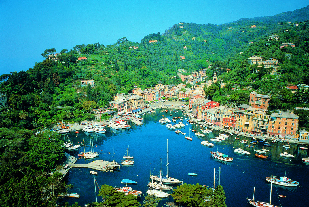 Mediterranean