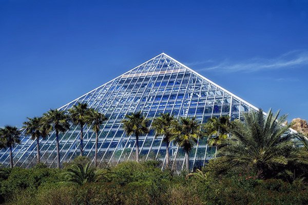 Experience Local Flavors in Galveston