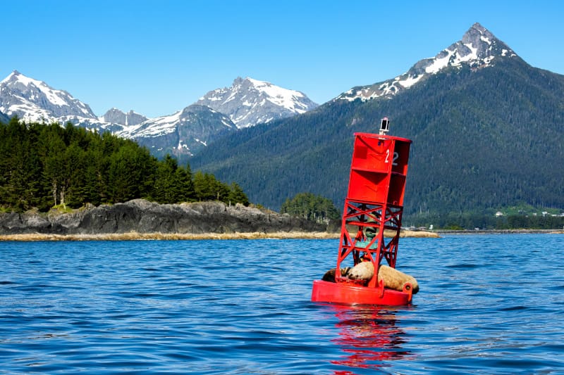 Why Choose an Alaska Cruise for Your First Visit?