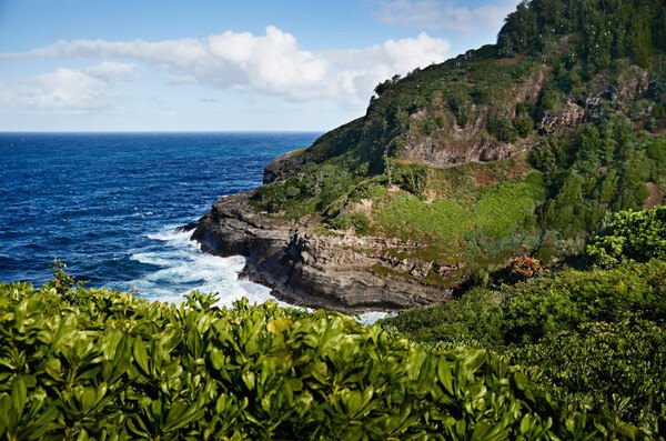 Hawaii Cruises
