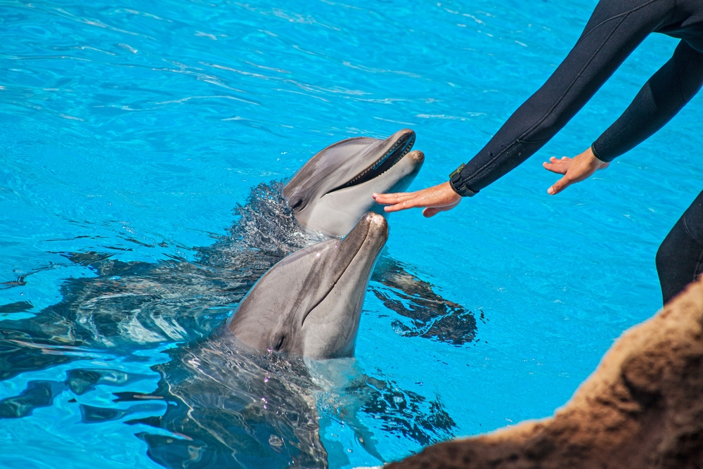 Sea Life Park