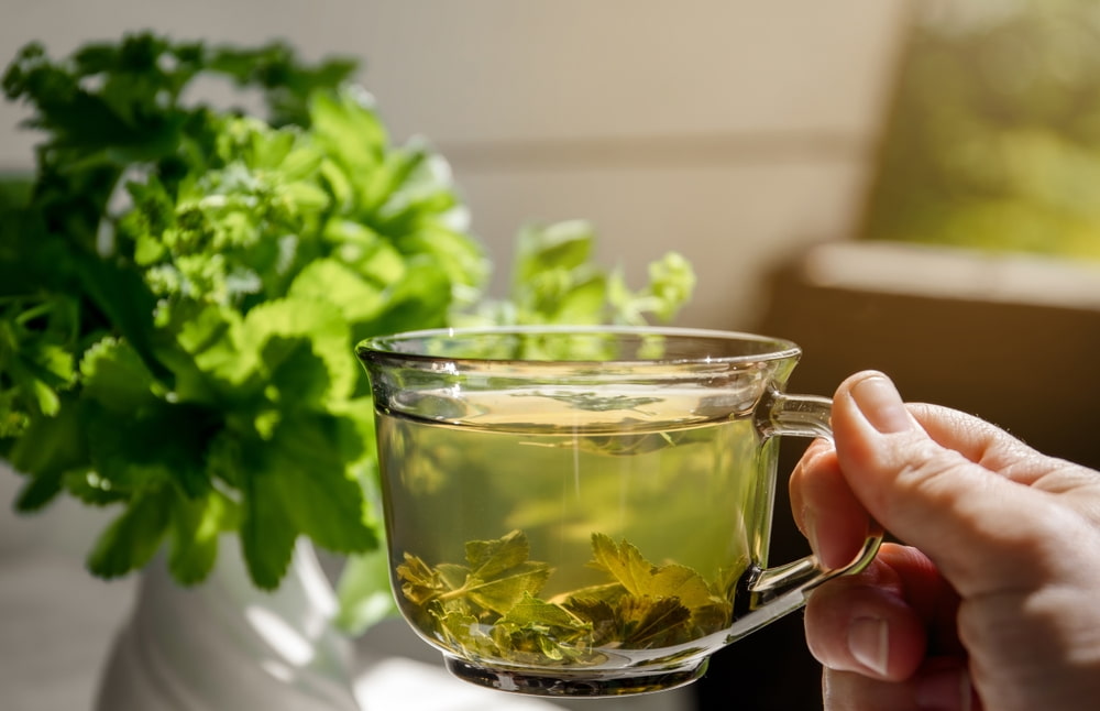Small Sips of Water or Herbal Tea