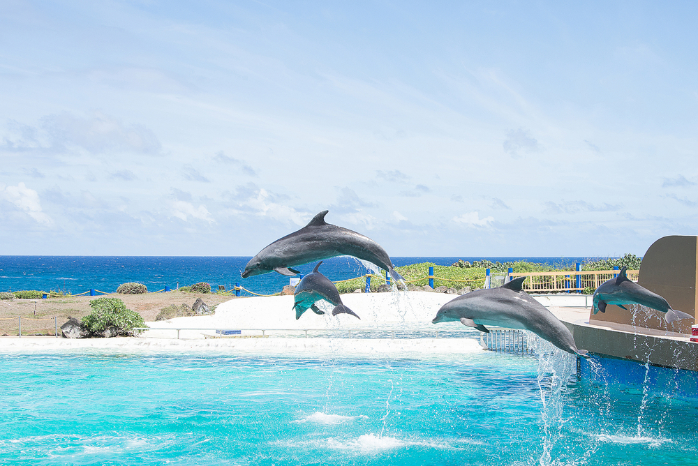 Waikiki Aquarium