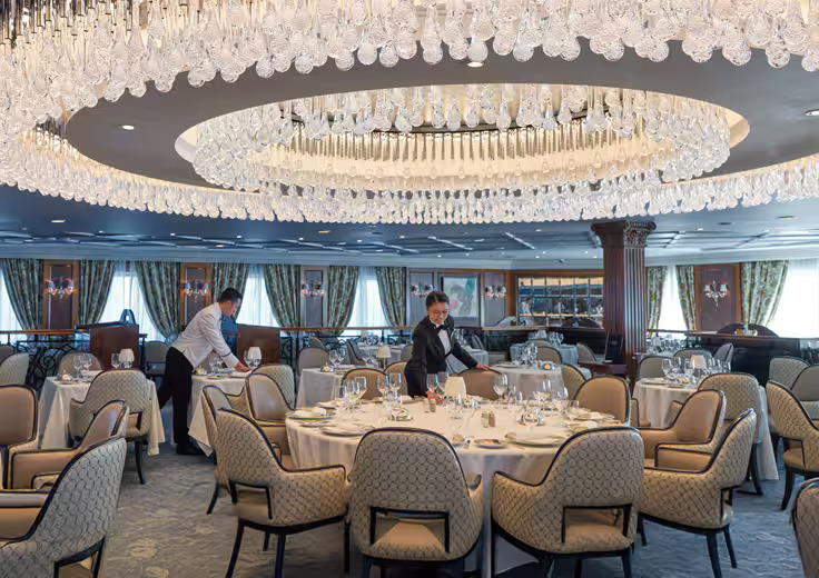 Who Should Book Aurelia?