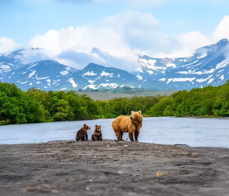 Alaska: Glaciers, Wildlife, and Wilderness