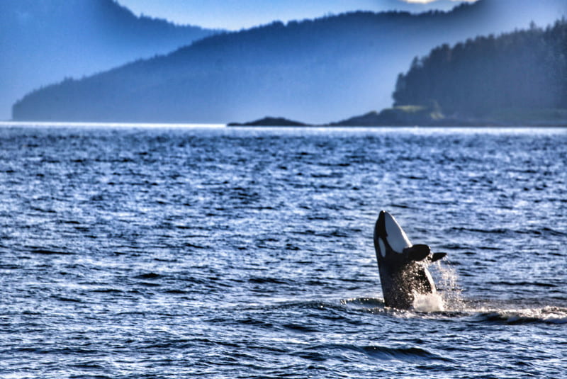 Day Trips from Juneau