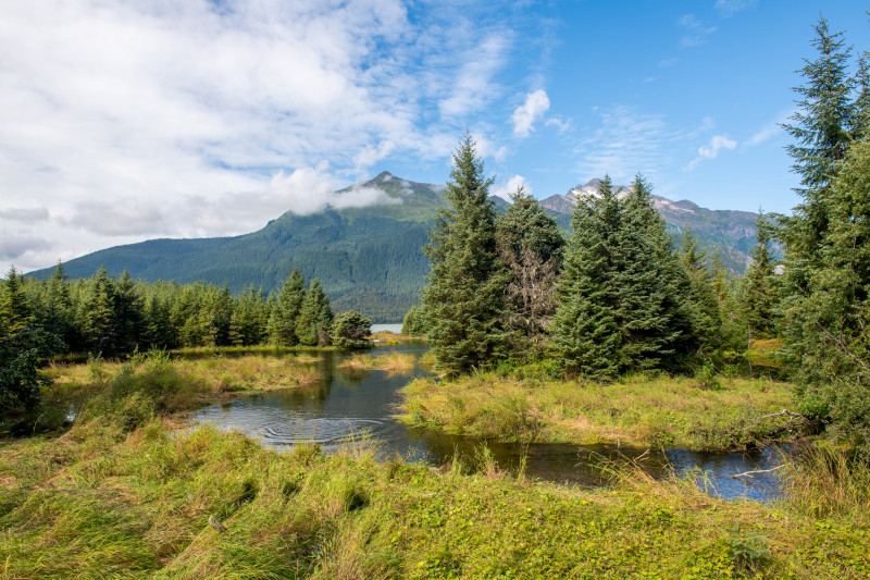 Juneau