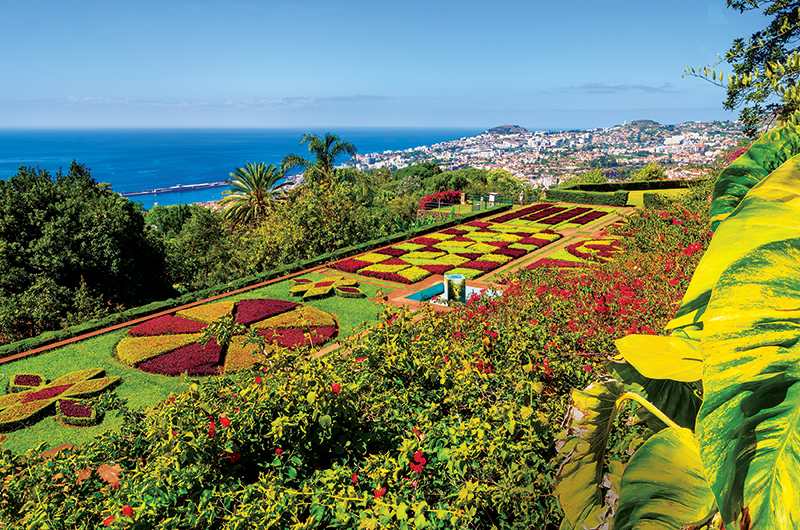 Tips for Booking Your Bucket List Cruise