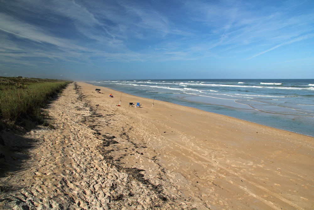 Port Canaveral Cruise Tips: Hotels, Parking, and Transfers