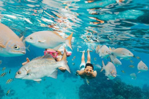 How to Find the Best Mexico Cruise Deals