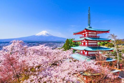 Top Cruise Destinations from Tokyo in 2025