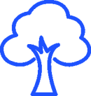 One Tree Planted