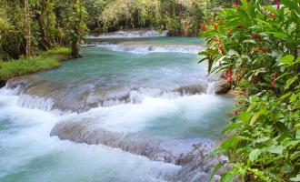 Exclusive Dunn's River Falls