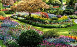 Victoria and Butchart Gardens