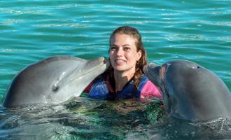 Dolphin Encounter