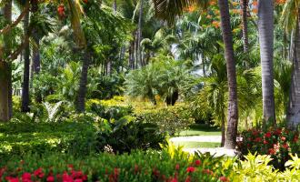 Garden of the Groves and City Tour