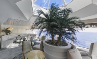 Palm Court