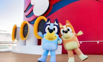 Set Sail with Bluey and Bingo