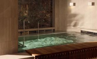 Wellness Spa