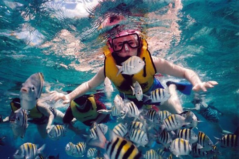 Snorkling in Caribbean