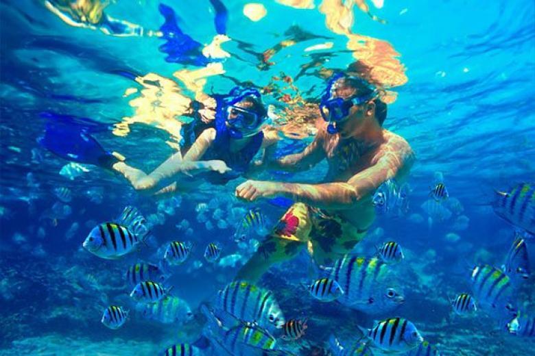 Snorkling in Mexican Riviera