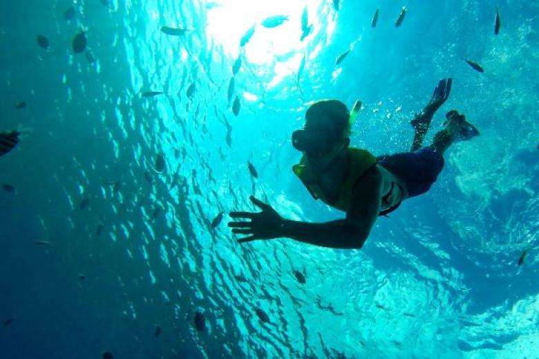 Royal Caribbean Cruises - Snorkeling In Cozumel (Select Itineraries)