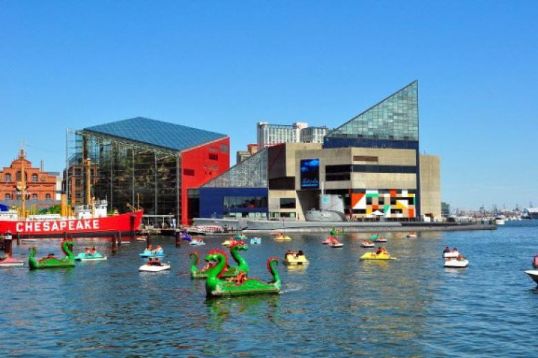 Baltimore National Aquarium