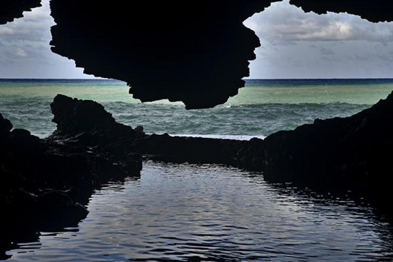 Barbados Animal Flower Cave