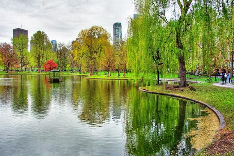 BOSTON PUBLIC GARDEN