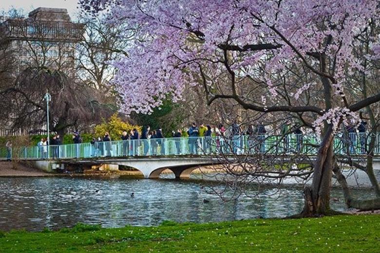 Bridge Of Spies St James's Park