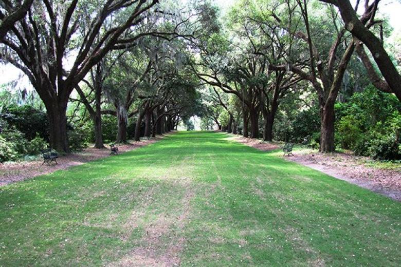 Charles Towne Landing