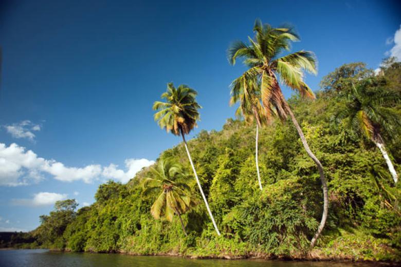 CHAVO RIVER BANKS