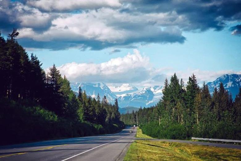 Forest Highway