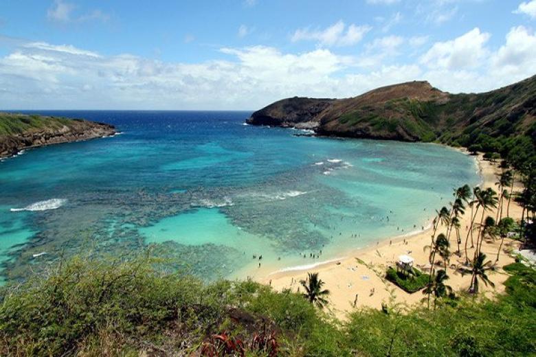 Hawaii Beach
