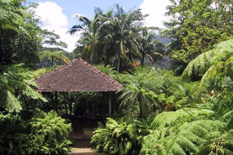 Jardin De Balata