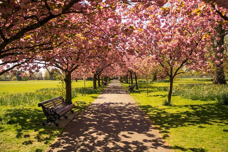 Hyde Park