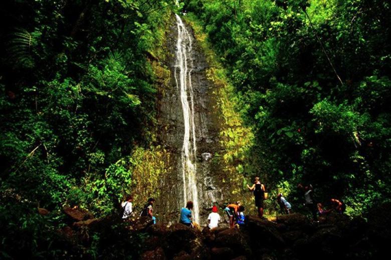 Manoa Falls