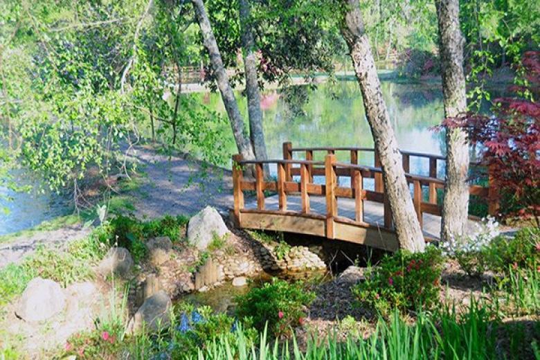 Japanese Garden