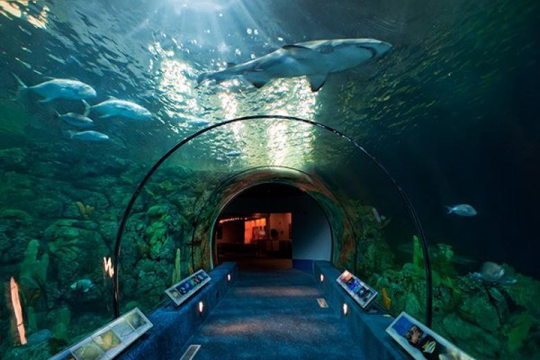 Moody Gardens