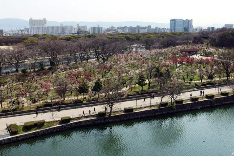 Osaka Castle Park