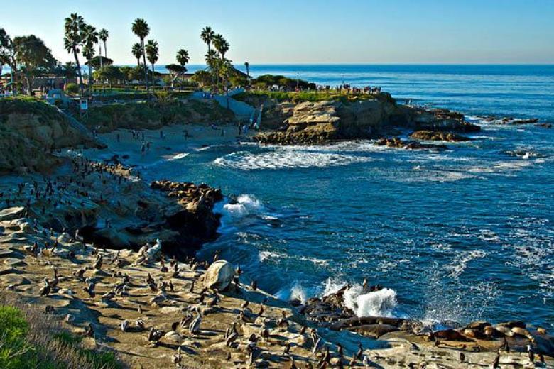 SAN DIEGO LA JOLLA COVE