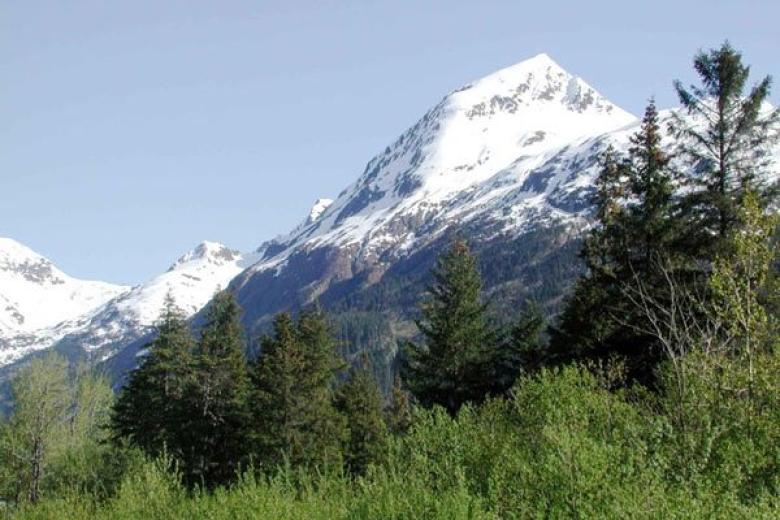 Seward Kenjai Fjords